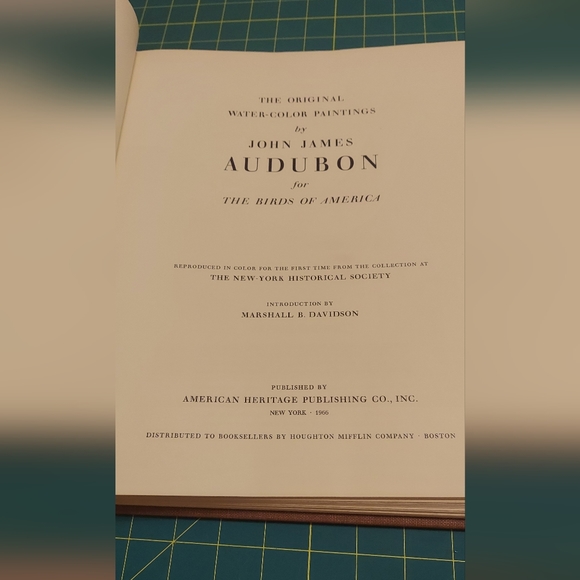 Northern Shrike, Plate 173 - Picture 3 of 4